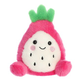 *Palm Pals Rhys Dragon Fruit - 5"
