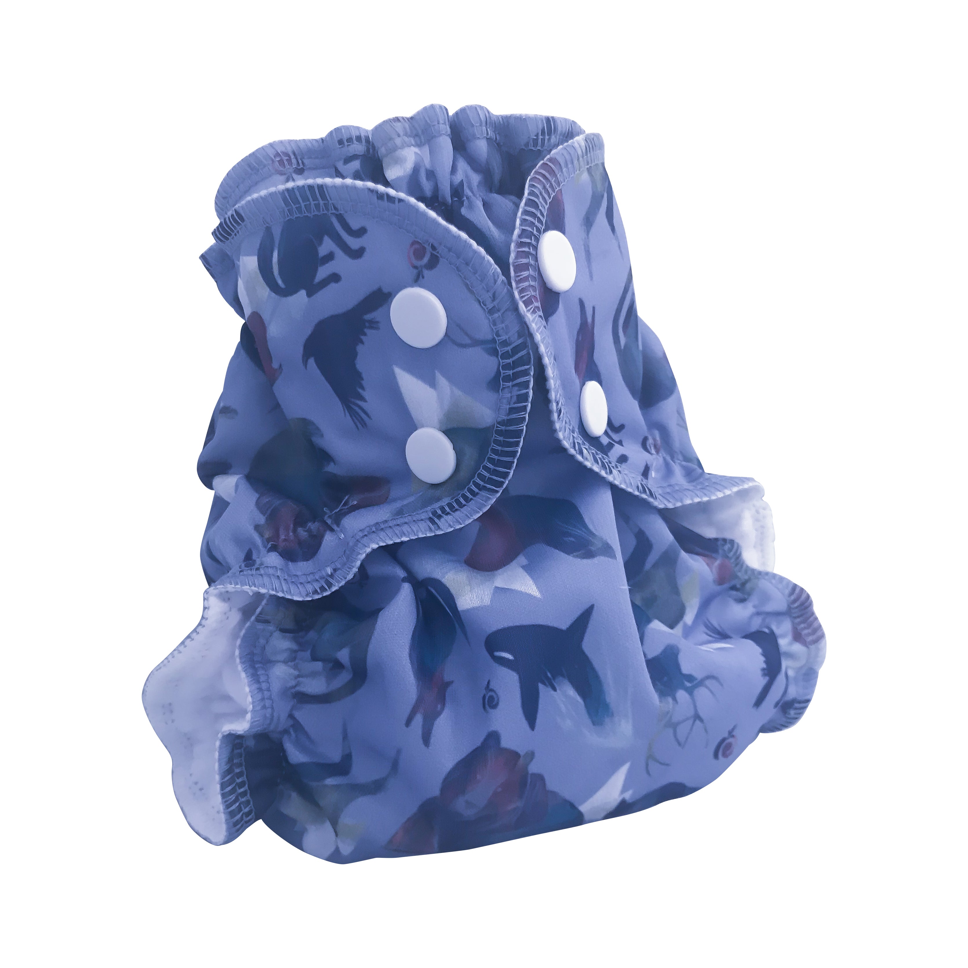 AppleCheeks Swim Diaper Sea to Sky Lagoon Baby Toy Shoppe