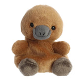 *Palm Pals Patty Platypus - 5"