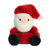 *Palm Pals Santa - 5"