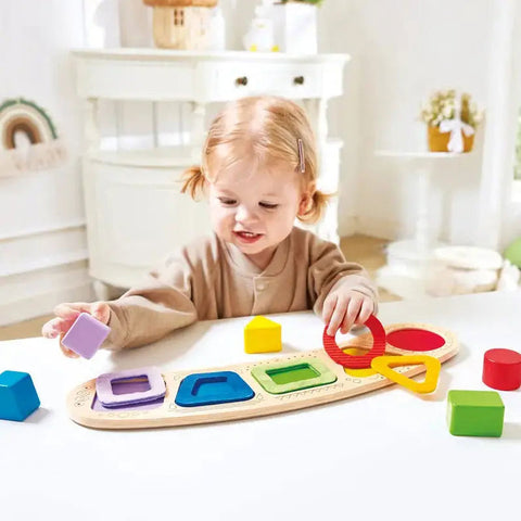 *Hape Colour & Shape Sorting Puzzle