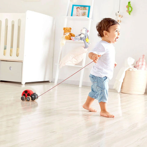 *Hape Ladybug Pull-Along
