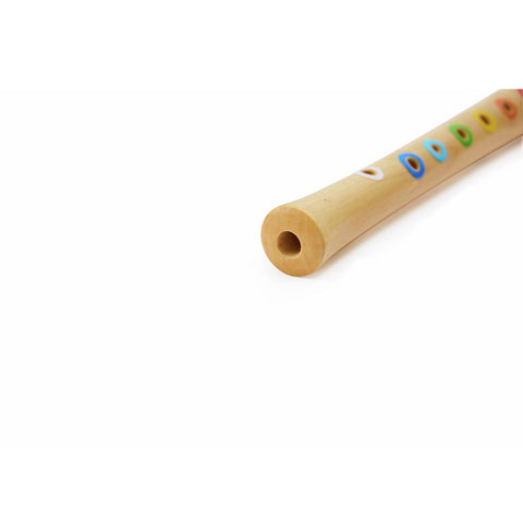 *Hape Musician's Starter Recorder