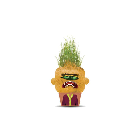 *Hape Plant Pals Monster