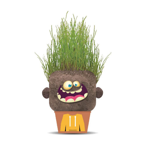 *Hape Plant Pals Monster