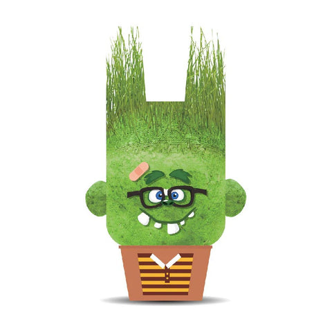 *Hape Plant Pals Monster