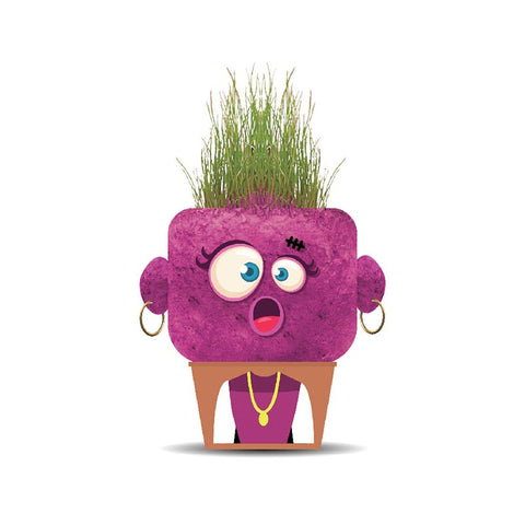 *Hape Plant Pals Monster