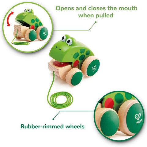 *Hape Frog Pull Along