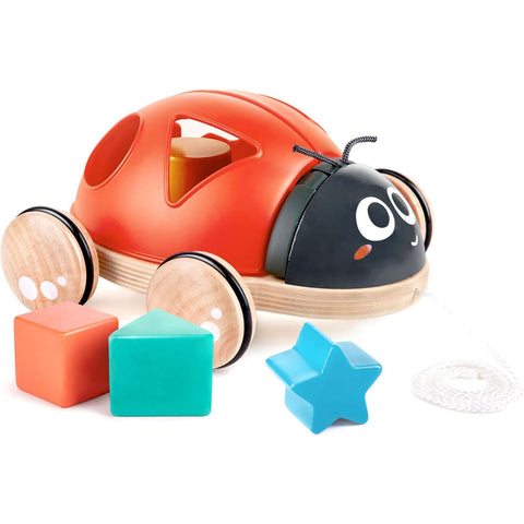 *Hape Shape-Sorter Ladybug