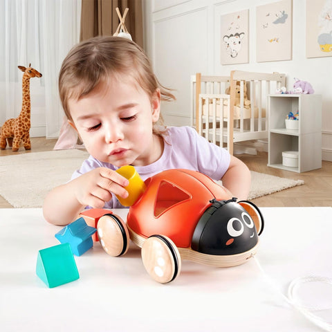 *Hape Shape-Sorter Ladybug