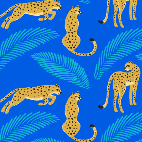 Honeysuckle Swim Co. -  One Cool Cat - UPF 50+ Swimsuit