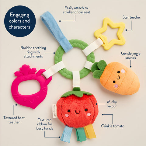 *Itzy Ritzy Bitzy Busy Ring Teething Activity Toy - Veggies