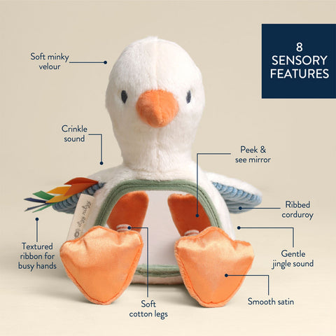*Itzy Ritzy Itzy Bitzy Mirror Sensory Tummy Time Mirror - Gracie the Goose