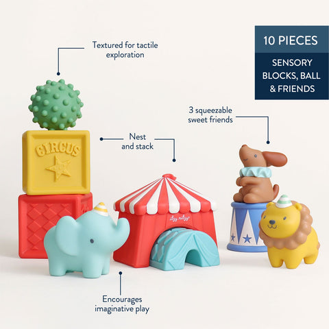 *Itzy Ritzy Itzy Blocks Sensory Blocks Set - Circus