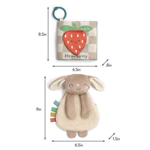 *Itzy Ritzy Itzy Learn & Snuggle Gift Set