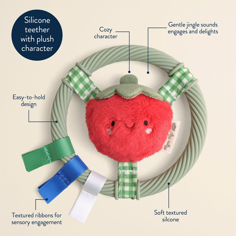 *Itzy Ritzy Itzy Ring Pal - Tomato