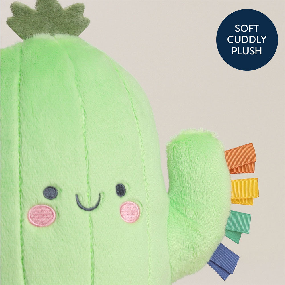*Itzy Ritzy Sweetie Snuggles - Cooper the Cactus 11"