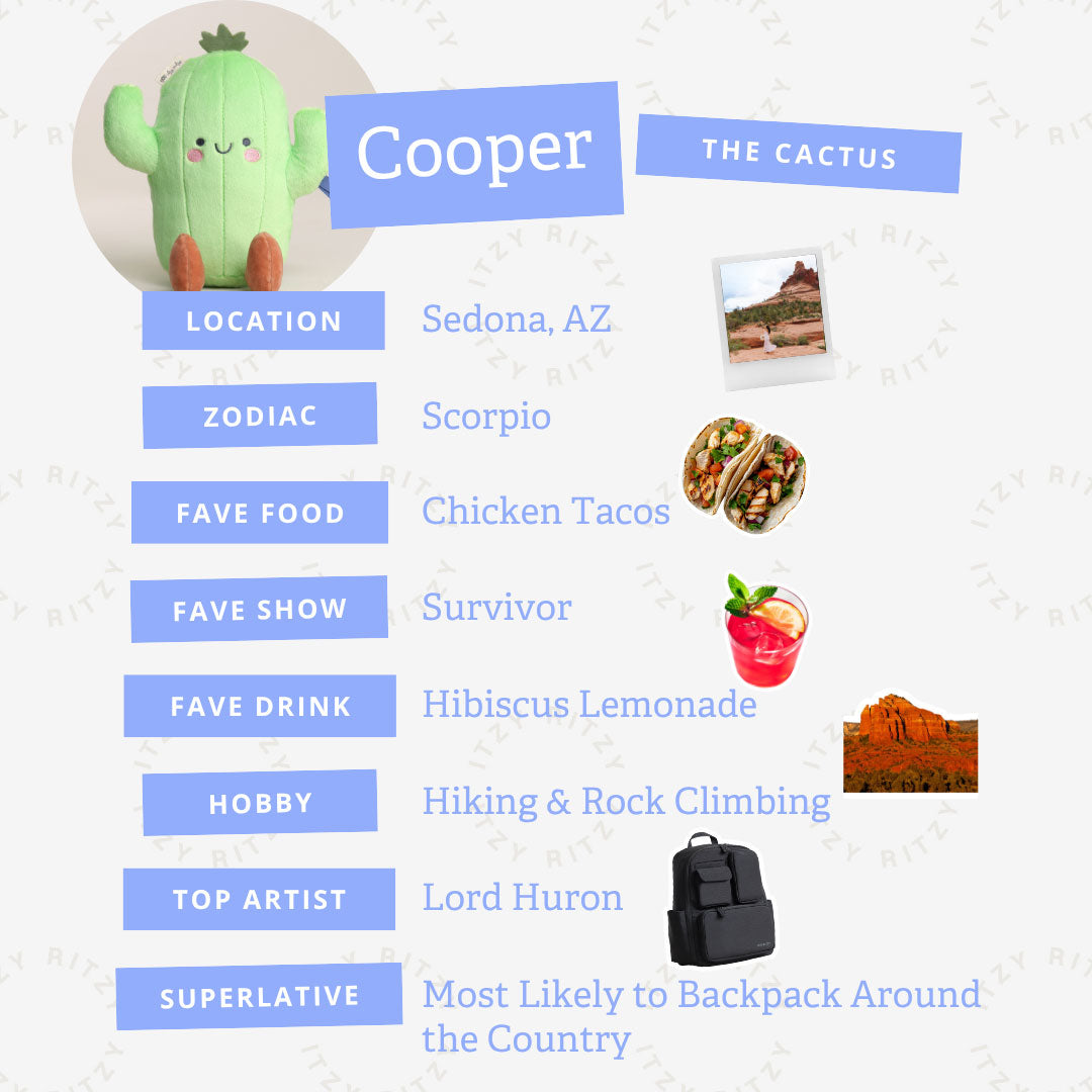 *Itzy Ritzy Sweetie Snuggles - Cooper the Cactus 11"