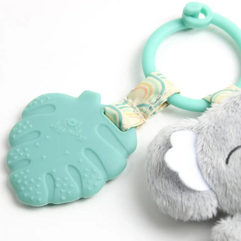 *Itzy Ritzy Itzy Pal - Kayden the Koala