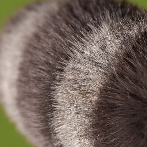 *Jellycat Trixiwoo Raccoon - 9"