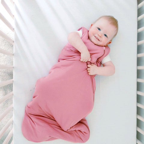 Kyte Baby Sleep Bag - 2.5 Tog - Apple Blossom