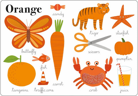 Learn and Explore: Touch and Feel Colors