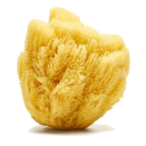 *Loot Toys Sandy the Sea Sponge