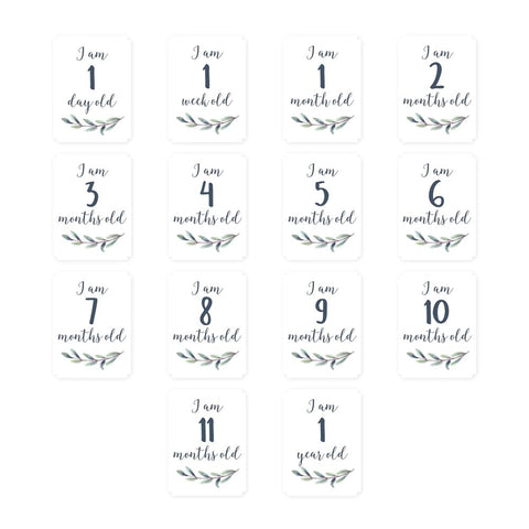 Lulujo Baby's First Year Milestone Blanket & Cards Set