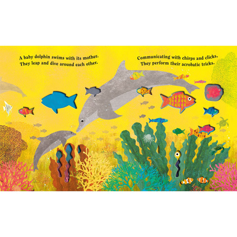 Ocean: A Peek-Through Board Book