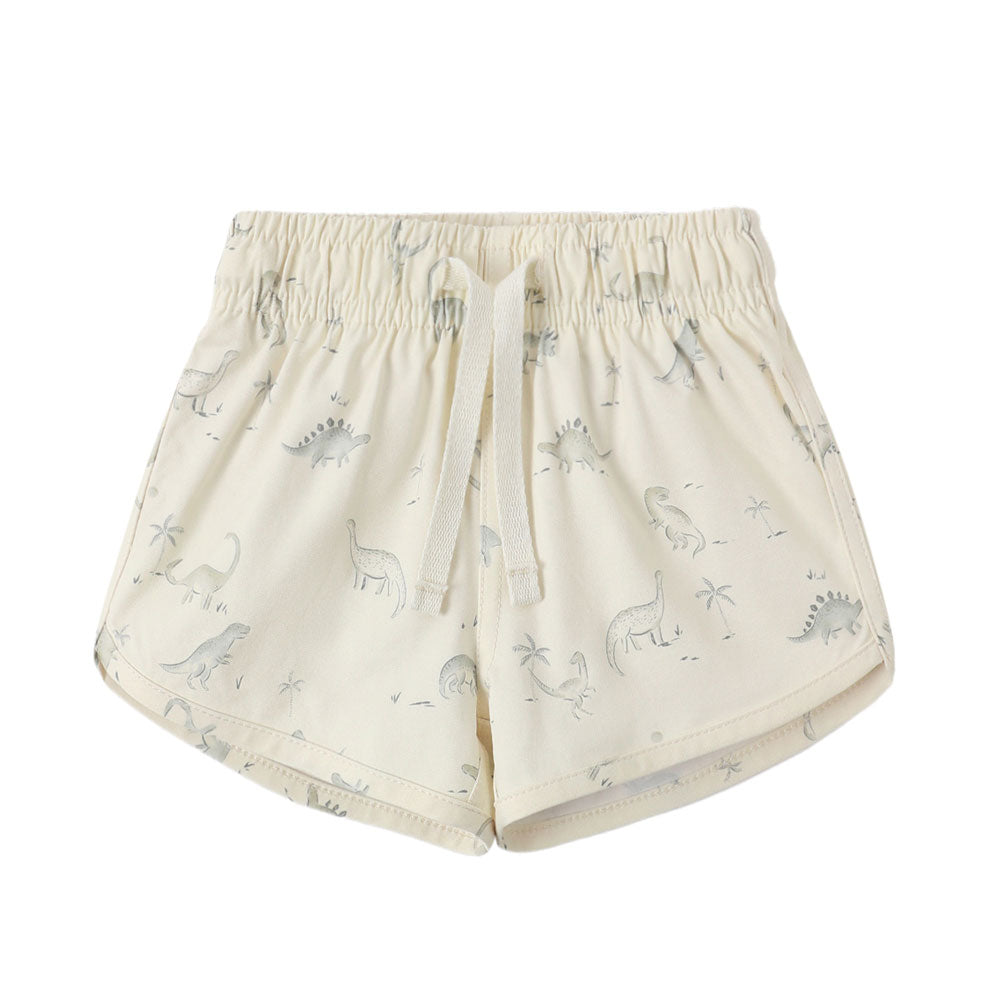 Quincy Mae Boys Swim Short - Dinosaur