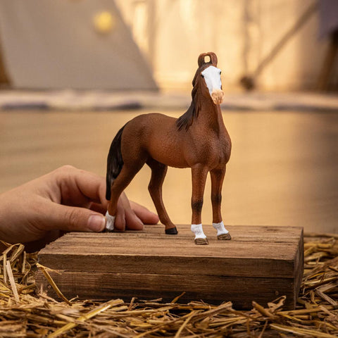 *Schleich Horse Club Marwari Mare