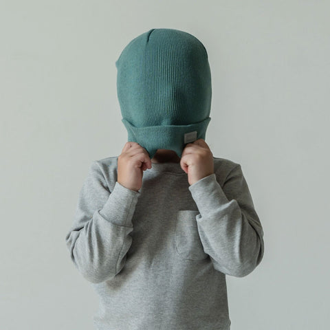 Swizz Cuffed Beanie - Baltic