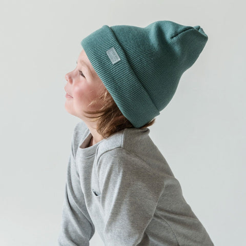Swizz Cuffed Beanie - Baltic