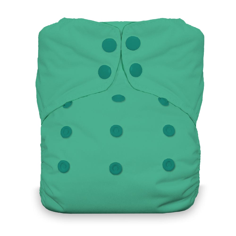 Thirsties Natural All-in-One Cloth Diaper Thirsties Cloth