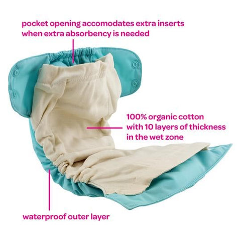 Blueberry Simplex Organic All-in-One One-Size Cloth Diaper *NO Warranty*