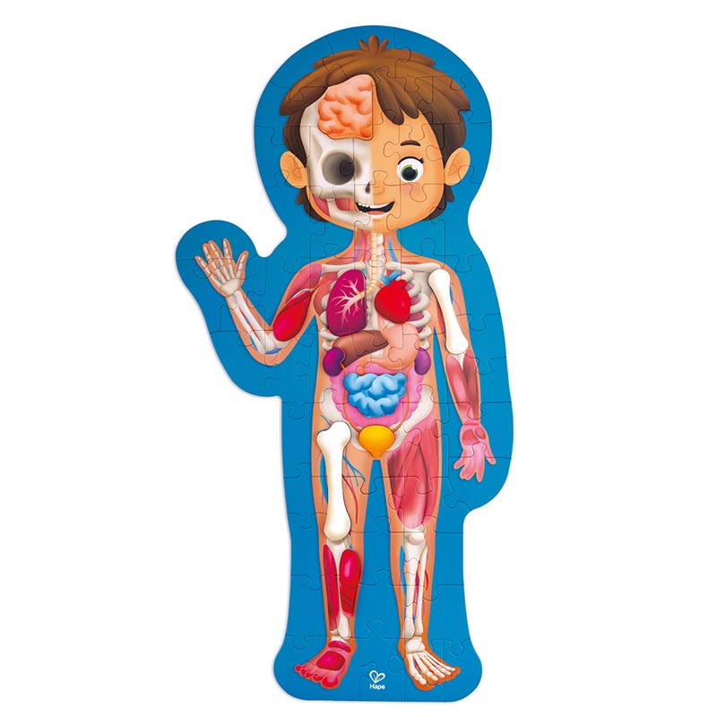 *Hape Human Body Puzzle