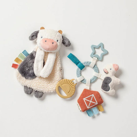 *Itzy Ritzy Bitzy Busy Gift Set - Farm