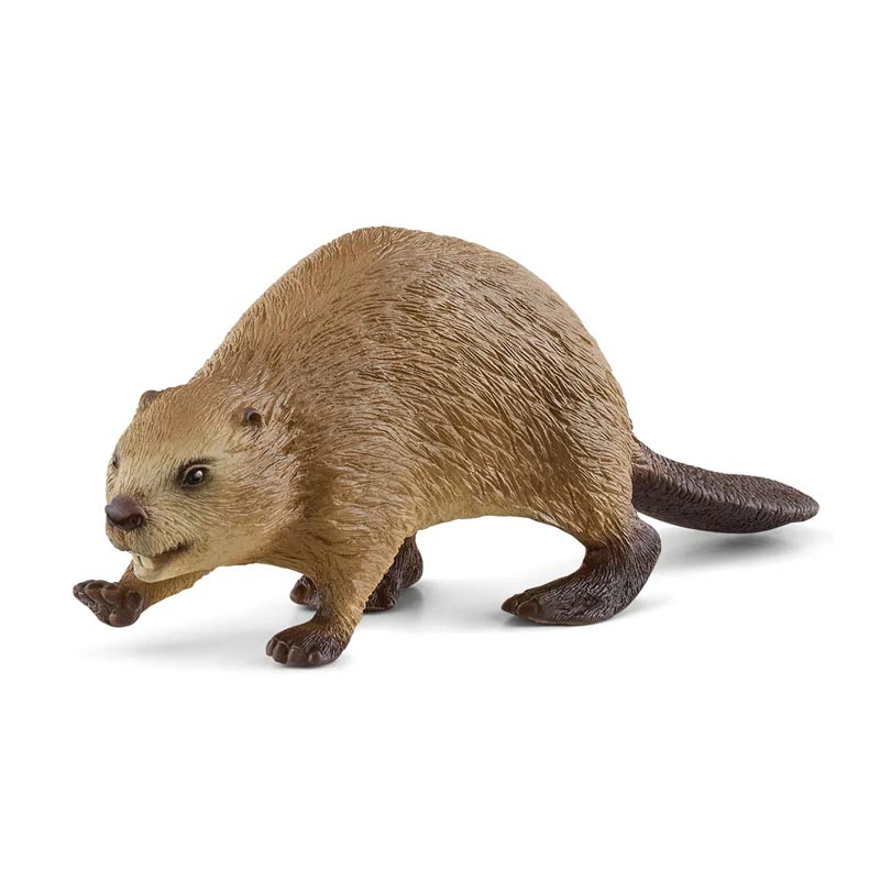 *Schleich Wild Life Beaver