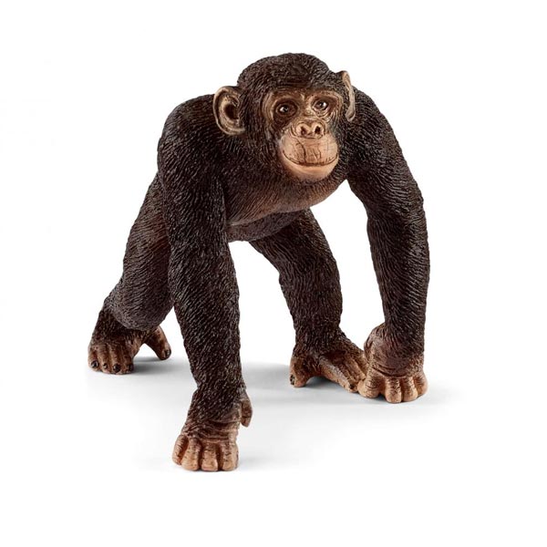 *Schleich Male Chimpanzee